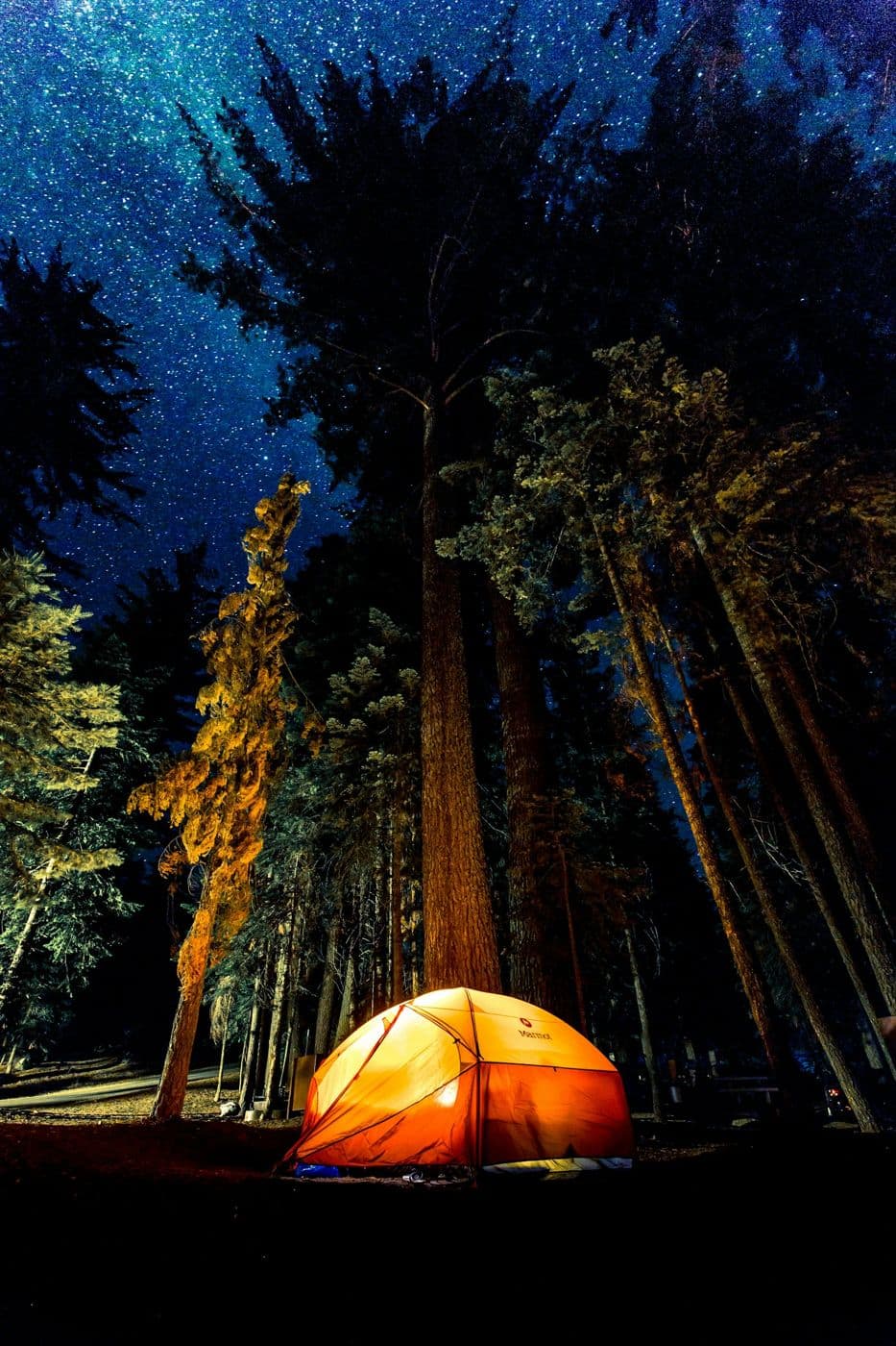 A glowing tent among tall trees under a starry sky